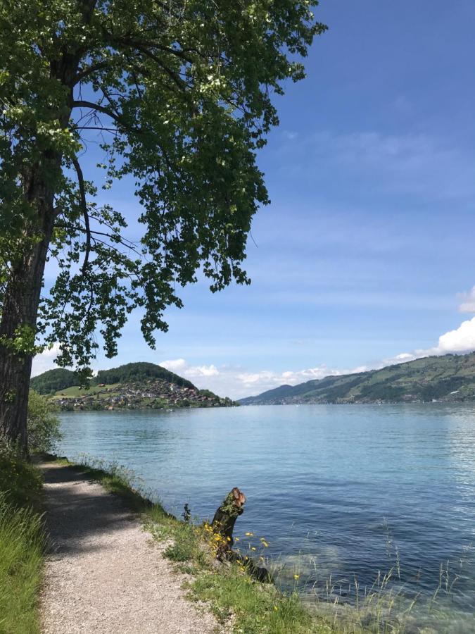 Moderne Unterkunft Mit Panoramablick Auf Thunersee Krattigen Zewnętrze zdjęcie