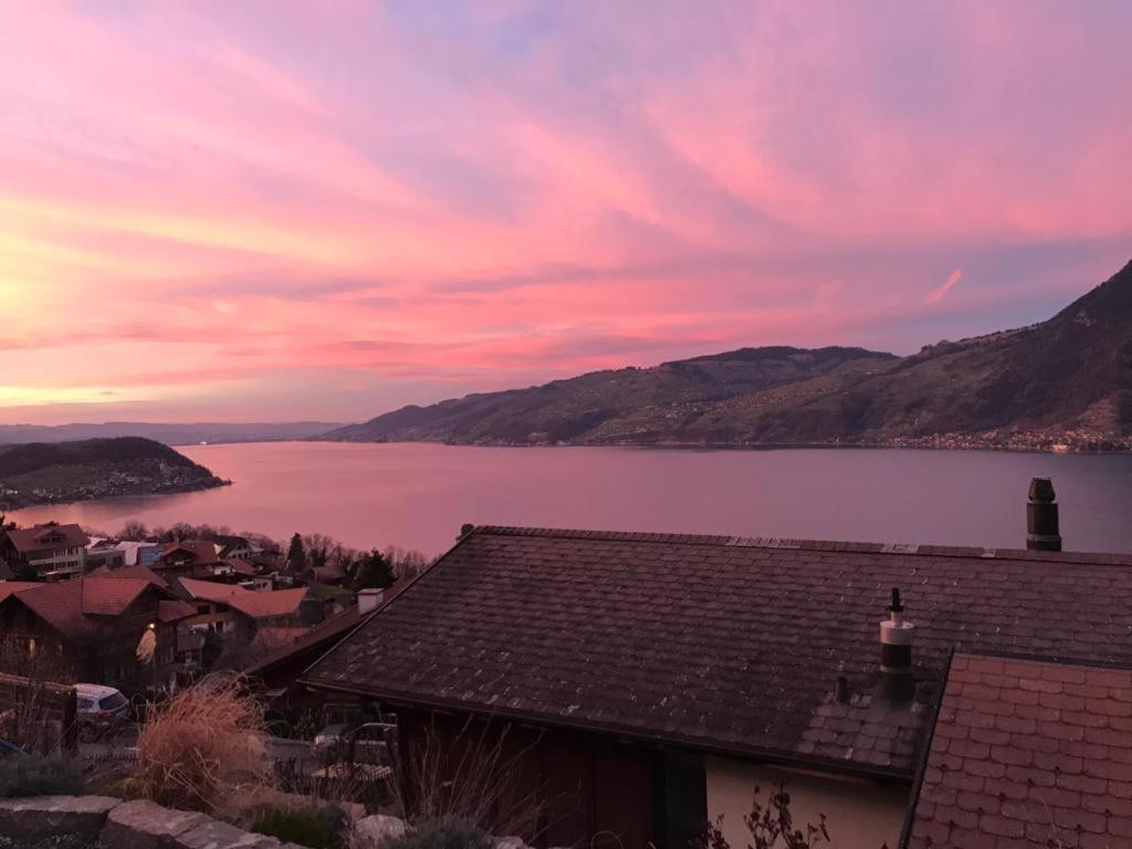 Moderne Unterkunft Mit Panoramablick Auf Thunersee Krattigen Zewnętrze zdjęcie
